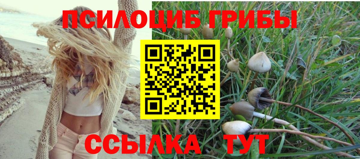 закладка  Галлюциногенные грибы мицелий  Гусь-Хрустальный  Вход с VPN  Псилоцибиновые грибы ЛСД 