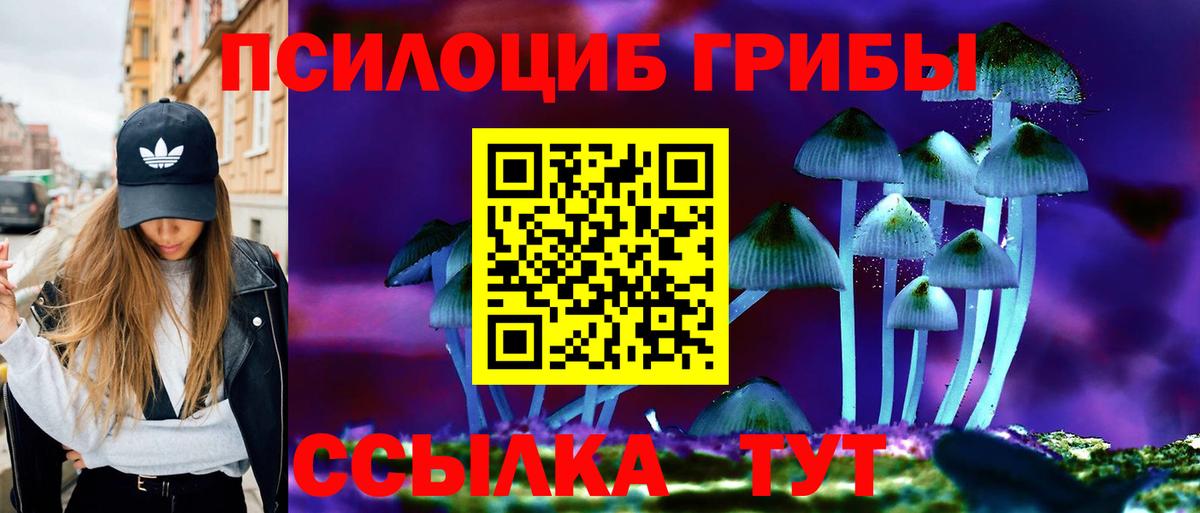 Псилоцибиновые грибы GOLDEN TEACHER Гусь-Хрустальный